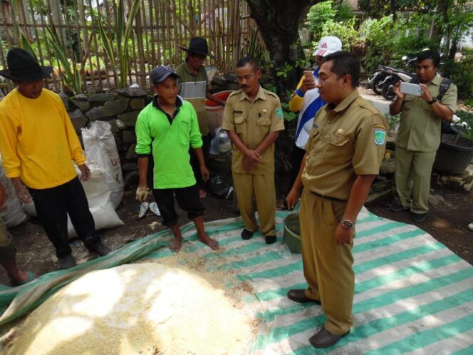 
					Dinas Peternakan Pasuruan Adakan Bimbingan Teknis Pakan Ternak Alternatif