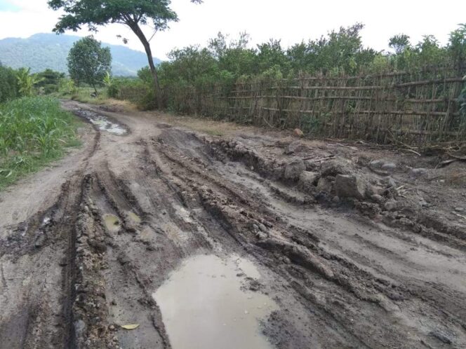 
					Proyek Pembangunan Jalan Perhutani KPH Banyuwangi Selatan diduga Syarat Penyimpangan
