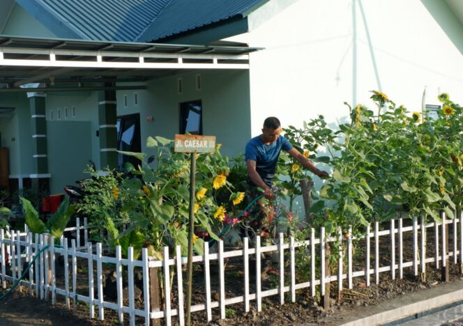 
					Budidaya Bunga Matahari Armed 12/Divif-2/Kostrad
