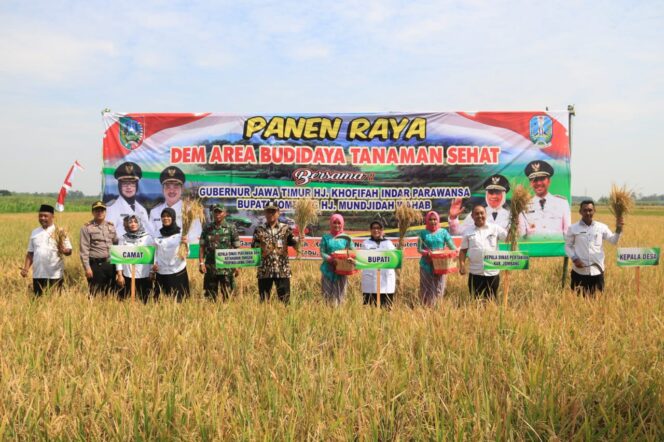 
					Gubernur dan Bupati Jombang Hadiri Panen Raya DEM Area Budidaya Tanaman Sehat