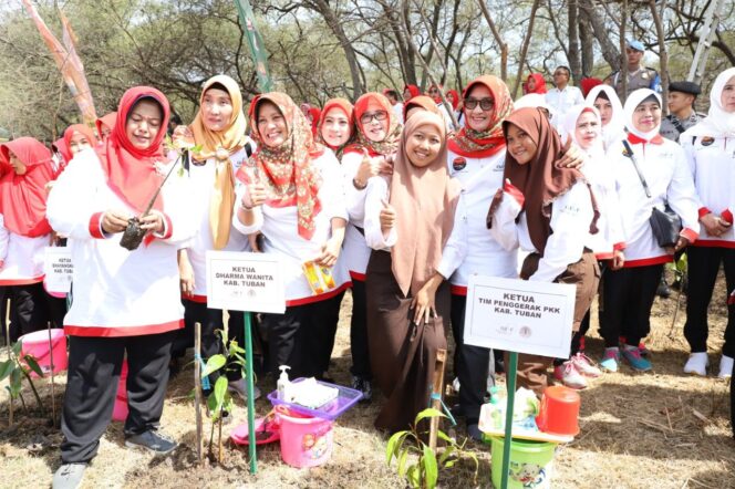 
					Area Wana Wisata Pantai Sowan diTanami  2.800 Bibit Pohon Mangrove .
