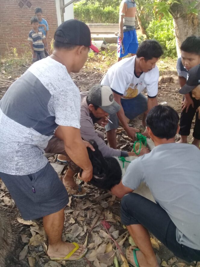
					WARGA KOMPLEK PERUMAHAN TAMAN PERMATA INDAH 2 DADAPAN KABAT POTONG HEWAN KORBAN