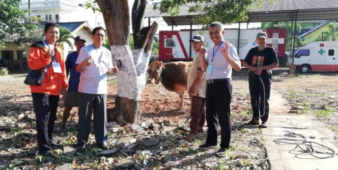 
					RSUD.Dr.R.Koesma Tuban Sembelih 3 Ekor Sapi.