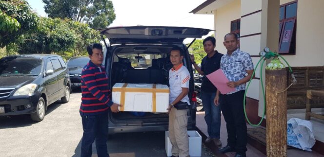 
					Baby Loptee Berhasil di Amankan Jajaran Satreskrim Polres Lampung Barat Di 3 TKP Pesisir Barat