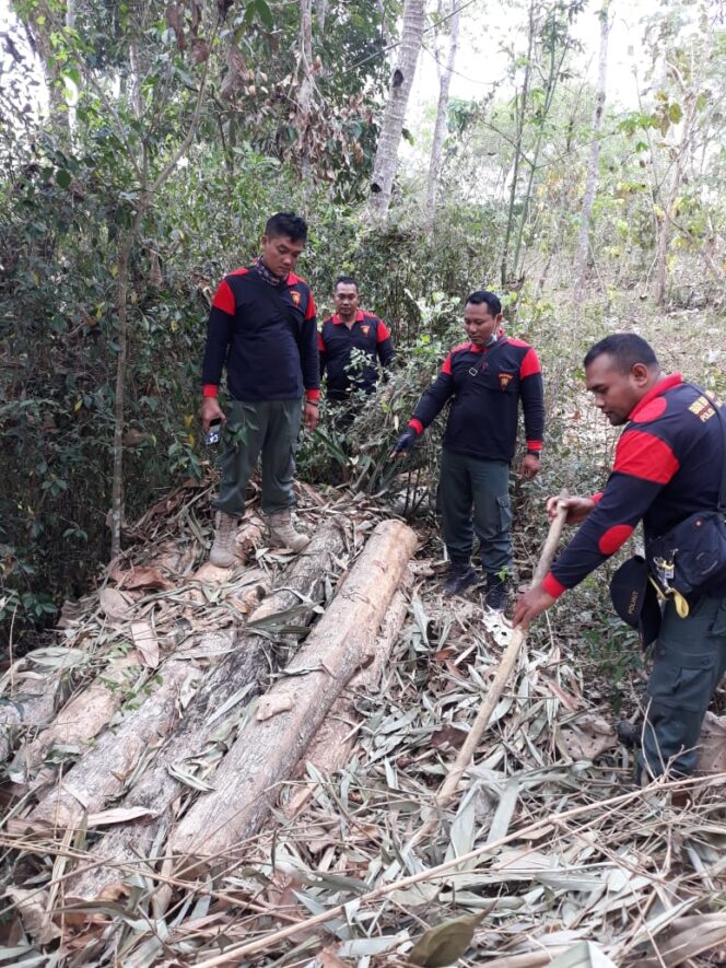 
					Polhutmob KPH Banyuwangi Selatan Amankan Ratusan Kayu Jati illegal