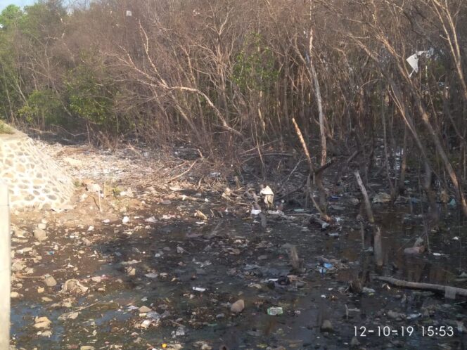 
					Ditengah Meriahnya Festival Gandrung Sewu Tersimpan Sampah Dan Bau Tak Sedap