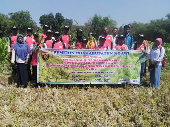 
					BIMBINGAN TEKNOLOGI PHT PADA BUDIDAYA TEMBAKAU UNTUK ANTISIPASI HAMA PENYAKIT TANAMAN TEMBAKAU OLEH DINAS PERTANIAN