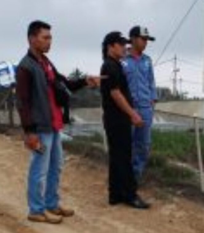 
					Bau Limbah PT. Teluk Beringin Jaya Resahkan Masyarakat Bangkunat Kabupaten Pesisir Barat