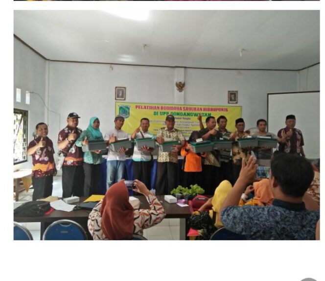 
					Pelatihan Budidaya Sayuran Hidroponik Di ULP Gondang Wetan Pasuruan