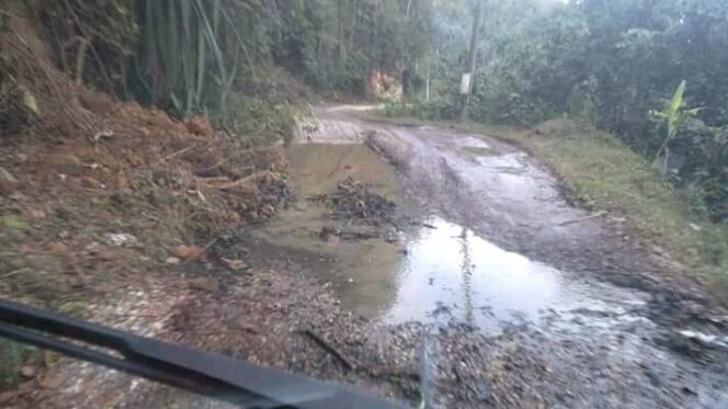 
					Warga Kecamatan Serbajadi Mengeluh Jalan Yang Di Lintasi Bagaikan Kandang Kerbau