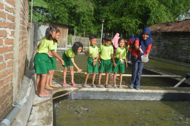 
					Peternakan Lele jadi Puncak Tema Binatang TK Kartika IX