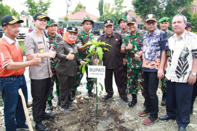 
					2001 Pohon Disebar di Kabupaten Lamongan