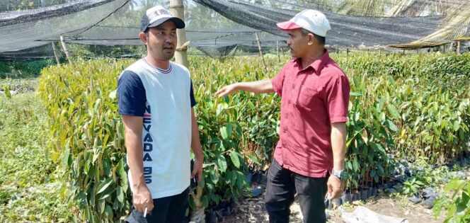 
					Anggota DPRK Dari Partai Aceh Yahya Kunjungi Penangkaran Bibit Unggul