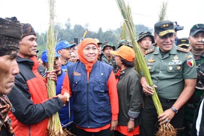 
					50 Ribu Rumput Vertiver Disebar di Ranupani Lumajang