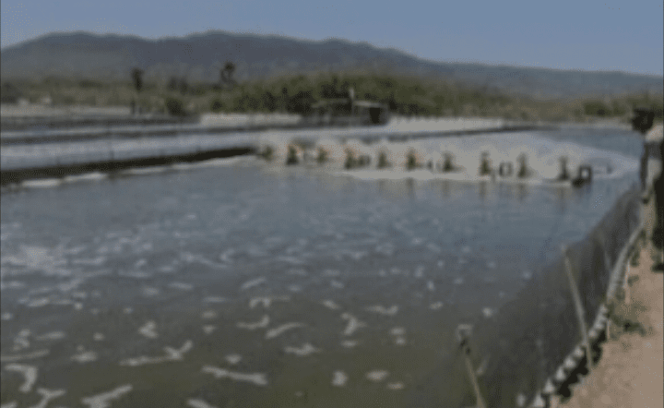 
					Dugaan Permasalahan PT. Teluk Beringin Jaya Siap Dibawa ke Ranah Hukum