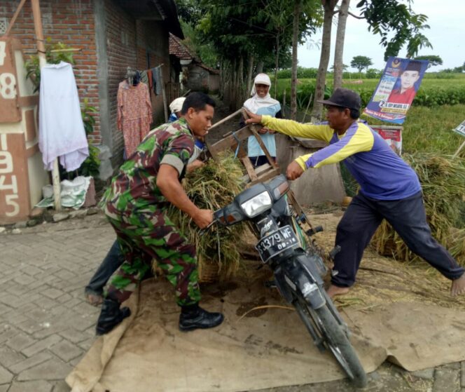 
					Kawal Ketahanan Pangan di Lamongan