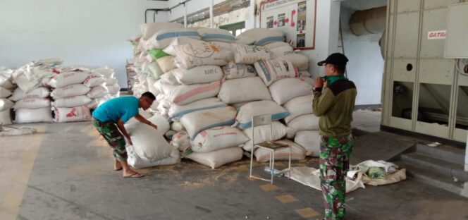 
					SP3T Dituntut Optimalkan Swasembada Pangan