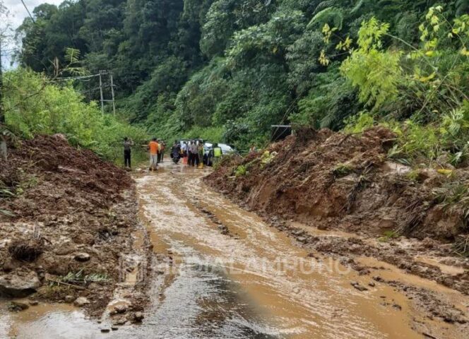 
					Kondisi Jalur “Liwa – Krui”Masih Buka Tutup Tapi Sudah Bisa Dilalui