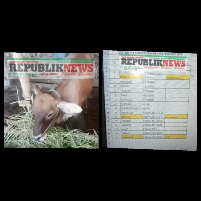 
					Keberadaan Sapi Bantuan Kelompok Tani Desa Bicak Di Pertanyakan…