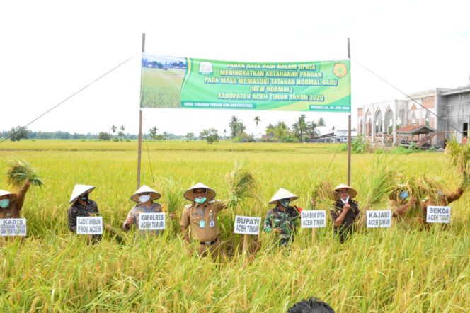 
					Panen Raya Padi Di Gampong Blang Pitra Peureulak