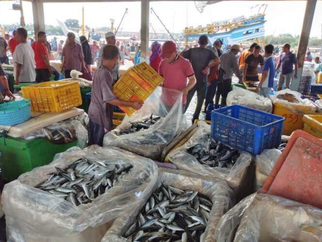 
					Tangkapan Ikan Melimpah, Masyarakat Nelayan Aceh Timur Malah Merugi