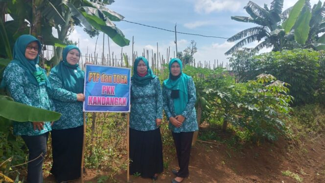 
					Pemdes Kare Madiun Gelar Lomba PHBS Dan PTP