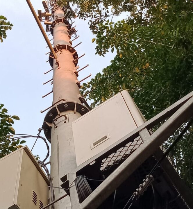 
					Jika McP-PT. DMT Melanggar “Kenapa Pemeritah Tuban” Tidak Lakukan Pembongkaran