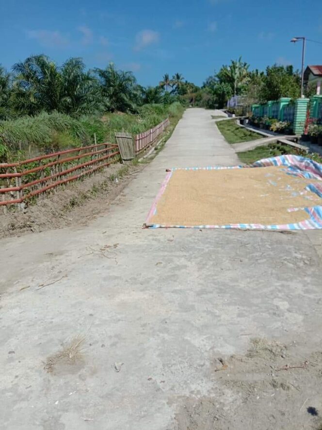 
					Rabat Beton Sarat KKN Proyek ADD Dibangun Di Tanah milik PTPN IV Simalungu Sumut