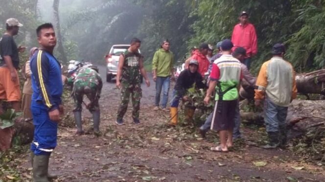 
					Bersama Warga, Babinsa Koramil 422-06/Sumber Jaya Gotong Royong Bersihkan Pohon Tumbang