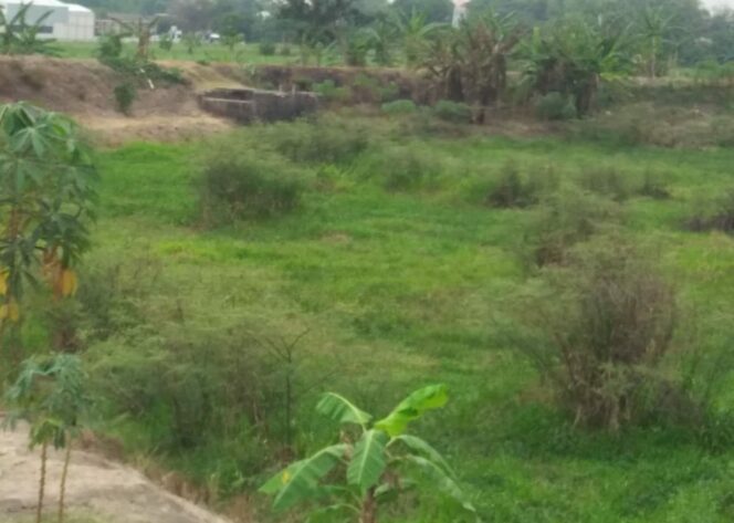 
					Butuh Sentuhan Tangan Pemerintah “Waduk Sambiroto” Puluhan Tahun Kurang Produktif