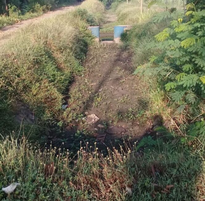 
					Diduga Karena Banyak Berdiri Bangunan Liar, Waduk Sambiroto Tidak Berfungsi Maksimal