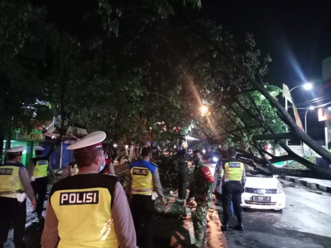 
					Sigap, TNI-Polri Evakuasi Mobil Tertimpa Pohon Tumbang di Lamongan