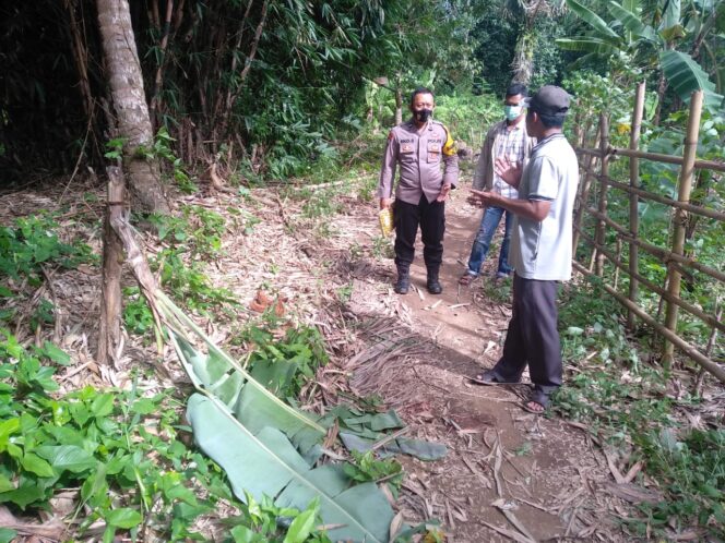 
					Perkelahian Dua Warga Kota Jawa Berujung Maut, Satu Orang Meninggal Dunia