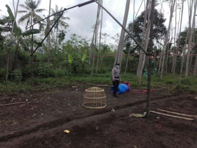 
					Polsek Senduro Obrak Abrik Arena Judi Sabung Ayam
