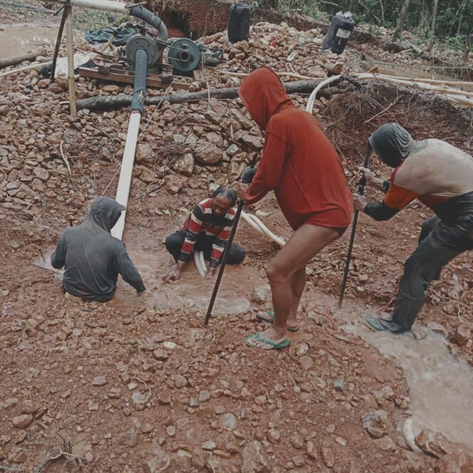 
					Walhi Angkat Bicara Terkait Tambang Emas Ilegal Di Waykanan