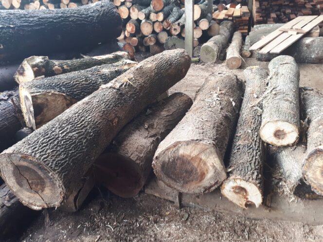 
					Penebangan Pohon Pinggir Jalan Desa Purwosekar Di Duga Tanpa Ijin