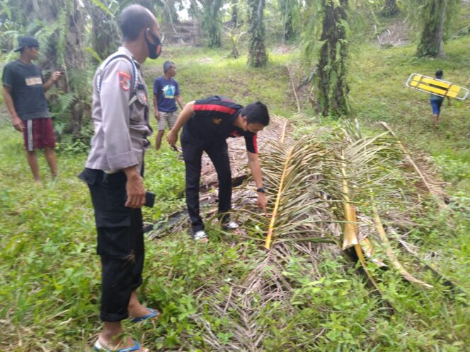 
					Duel Maut Satu Anggota TNI-AL dan Seorang Petani Alami Luka-Luka