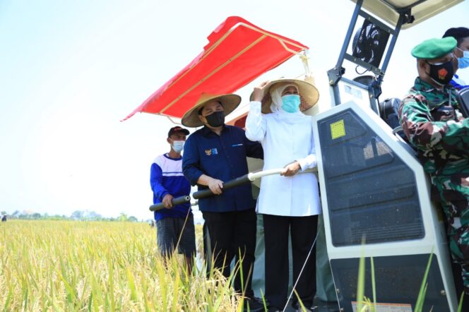 
					Gubernur Khofifah: Stok Sangat Melimpah Jatim Tak Perlu Beras Impor
