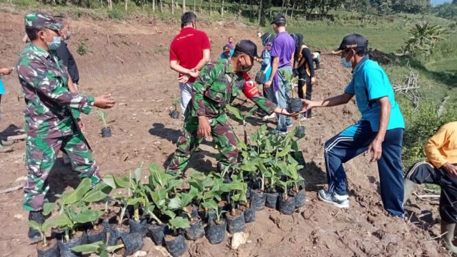 
					Tanaman Seribu Pohon Pisang Desa Ngaglik Parang Magetan.