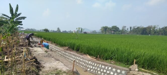 
					Dapat Program P3TGAI, Desa Tosanan Bangun Saluran Irigasi