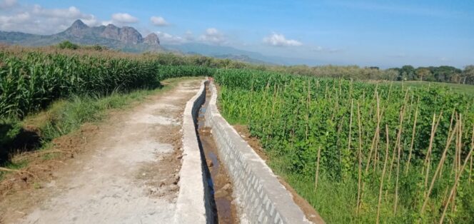 
					Hippa Gemah Ripah Karang Patihan Bangun Saluran Irigasi Dari Program P3TGAI 2021