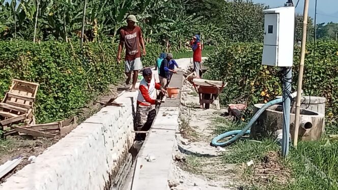 
					Pelaksanaan Proyek HIPPA Desa Bareng Babadan Kabupaten Ponorogo Di Duga Salahi Prosedur