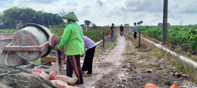 
					Rehabilitasi JUT Tingkatkan Kemudahan Akses Bagi Petani