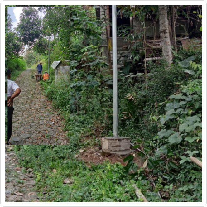 
					PEMDES BATOK KEMBALI REALISASIKAN LAMPU PENERANGAN JALAN DEMI KEAMANAN MASYARAKAT