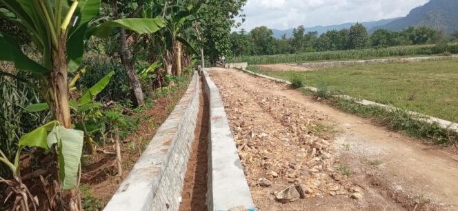 
					Hippa “Tani Makmur” Desa Ngloning Bangun Saluran Irigasi Program P3TGAI