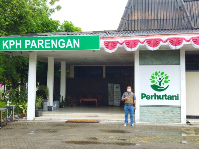 
					Pohon Jati Produk Terbesar Sumber Daya Hutan KPH Parengan Bojonegoro