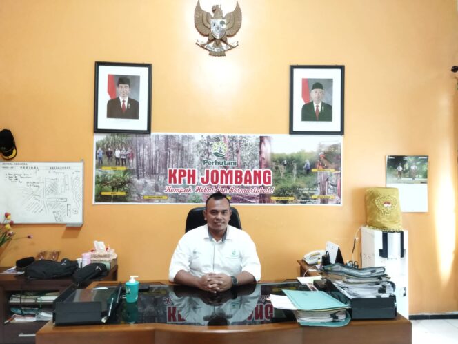 
					Selain Minyak Kayu Putih, KPH Jombang Kembangkan Agroforestry Tebu Mandiri