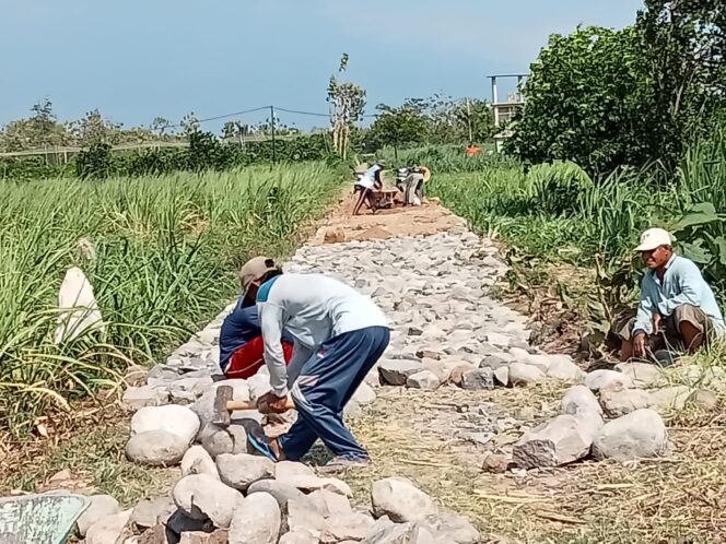 
					Alokasikan Dana Desa, Pemdes Belotan Bendo Bangun Jalan Makadam