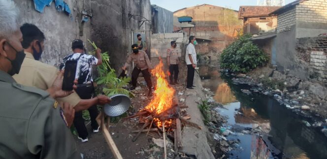 
					Bersama Tiga Pilar Polsek Semampir Bakar Warung Sabu di Jalan Kunti Surabaya