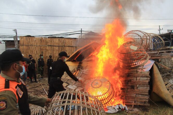 
					Ratusan Petugas Gabungan Robohkan Pagupon di Lahan Kosong Karang Asem Surabaya